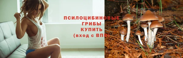 ALPHA-PVP Аркадак