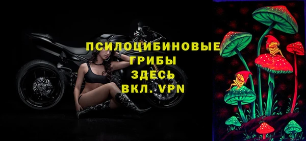 мяу мяу мука Арсеньев