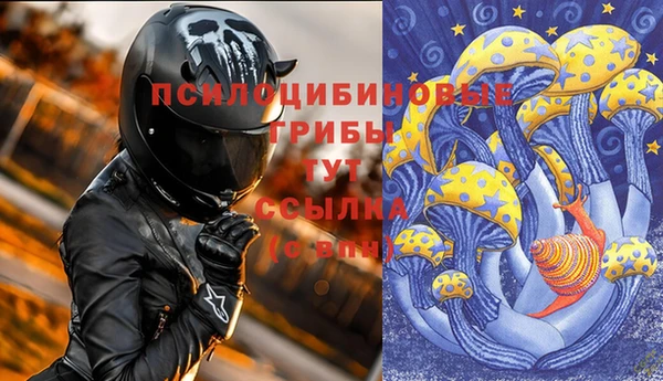 мяу мяу мука Арсеньев