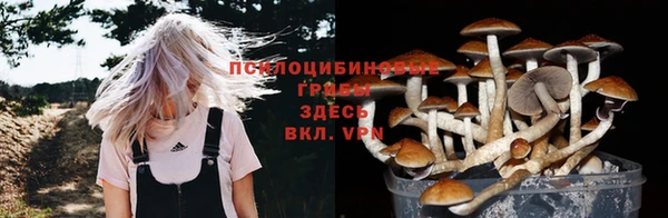 мяу мяу мука Арсеньев