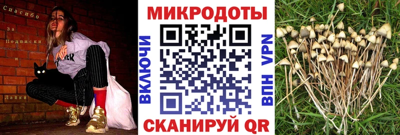 Галлюциногенные грибы Magic Shrooms  Чудово 