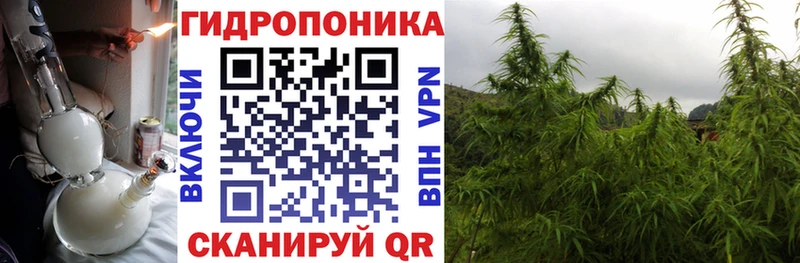Канабис марихуана  купить закладку  Чудово 